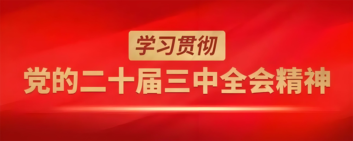 学习贯彻党的二十届三中全会精神